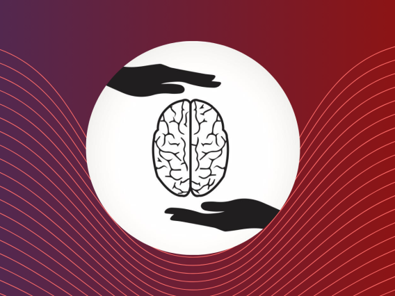 Neuroscience:Translate Grant Program | Wu Tsai Neurosciences Institute